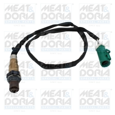 Oxygen Sensor